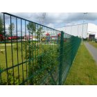 Kerítéspanel 6/5/6 2D zöld RAL6005 123x250cm