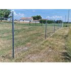 VADHÁLÓ OSZLOP 250CM 50X30/1,5 HORGANYZOTT