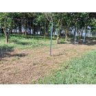 VADHÁLÓ OSZLOP 250CM 50X30/1,5 HORGANYZOTT